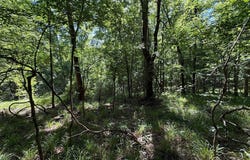 San Roc Road, GRENADA, MS 38901