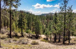 Lot 16 Napias Sub, Boise, ID 83716
