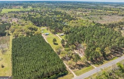 4749 Ga Highway 65, Pelham, GA 31779