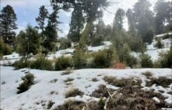 Copper Cross #3969, Moffet Gulch Rd, Divide, MT 59743