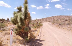 329-02-032 GEORGINA WAY, WHITE HILLS, AZ 86445