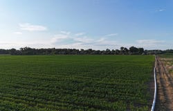 123 County Road 122, Sidney, MT 59270