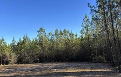 Straw Bridge Rd lot: 58, Jay, FL 32565