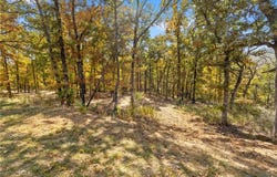 Lot 19 Restore Ridge, Harrison, AR 72601