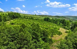 0 Locey Creek Road, Middlebury Center, PA 16935
