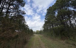 Frost Road, Caddo Valley, AR 71923-0000