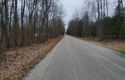 Poor Farm Road lot: 11 & 12, Greenbush, MI 48738