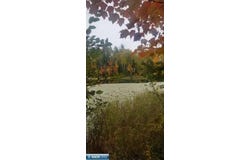 6342 Hwy 21, Embarrass, MN 55732
