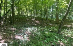 1722 S Cherry Blossom Lane, Suttons Bay, MI 49682