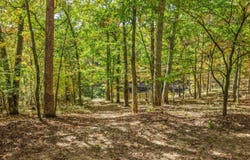 Callaway Ridge Dr, Defiance, MO 63341