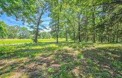 21436 State Highway D, Hermitage, MO 65668