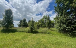 2110& 2120 Lemon Northcutt Road, Dry Ridge, KY 41035