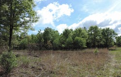 9999 Tessa Drive, Lone Rock, WI 53556