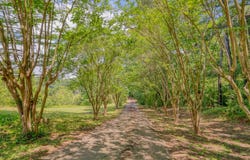 1936 A Silver Maple Road, Big Sandy, TX 75755