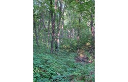Xxx 218th Street N, Scandia, MN 55073