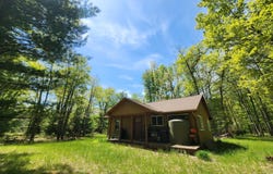 2721 Money Crisp off Mccollum Lk Road, Curran, MI 48728