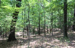 Country Club Drive, Theodosia, MO 65761