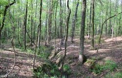 Ruffner Road, Barnesville, GA 30204