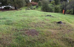 22346 Regnart RD, Cupertino, CA 95014
