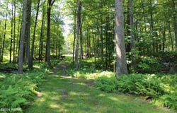 Briar Hill Drive, Paupack, PA 18438