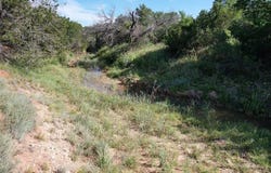 Tbd County Rd 272, Tuscola, TX 79562