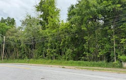 200 Vienna St, Abbeville, SC 29620
