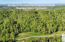 1619 Squirrel Creek Rd, Ararat, VA 24053