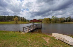 38 acres COUNTY ROAD 120, ROCKFORD, AL 35136