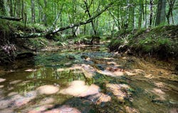 00 Old Hwy 69 & Hog Creek Rd, Sugar Tree, TN 38380