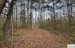 Pine Knoll Farms Loop, Stuart, VA 24171