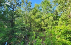 297 White Oak Lane, Lufkin, TX 75904