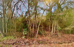 Hwy 129, Claxton, GA 30147