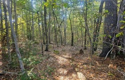 154 Lower Road lot: 35, Deblois, ME 04622