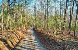 19.44 Mt Mcgurder Road, Ellijay, GA 30536