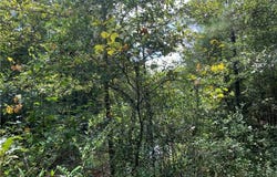 Bell Drive, Creola, AL 36525