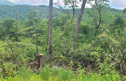 266 Little Sugar Lane, Sugar Mountain, NC 28604