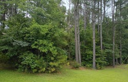 5465 Steele St, Hamilton, AL 35570