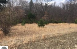 Lot 27 Alden Meadows, Alden, MI 49612