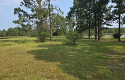 46 Tony Baker Lane, Garfield, GA 30425