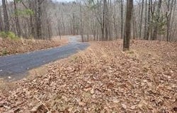 131 Adair Drive, Ranger, GA 30734