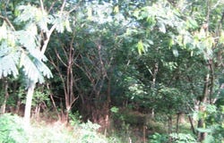 000 Elm Street Street, Norlina, NC 27563