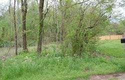 67 51st Avenue, Gruetli Laager, TN 37339