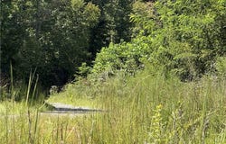 Off Bauguess Mill Road, Traphill, NC 28685