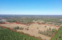 444 County Road 4104, Daingerfield, TX 75638