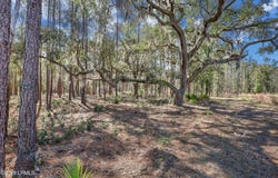 72 Lupine Road, Bluffton, SC 29910