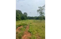 280 Martin Road, Plain Dealing, LA 71064
