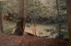 0 Mountain Laurel Tr, Clarkrange, TN 38553