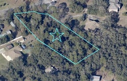 SCAUP PLACE, DE LEON SPRINGS, FL 32130