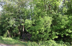 ON HURON ST, Three Lakes, WI 54562