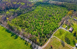 Tract 1 W Dumplin Valley Road, New Market, TN 37820